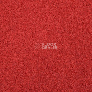 Ковровая плитка Modulyss Cambridge Xtra 30 f фото 1 | FLOORDEALER